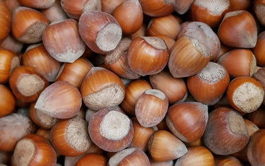 Haselnüsse knacken und rösten – so gelingt's (plus Rezept für Nussmus)