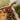 Rezepte & Tipps