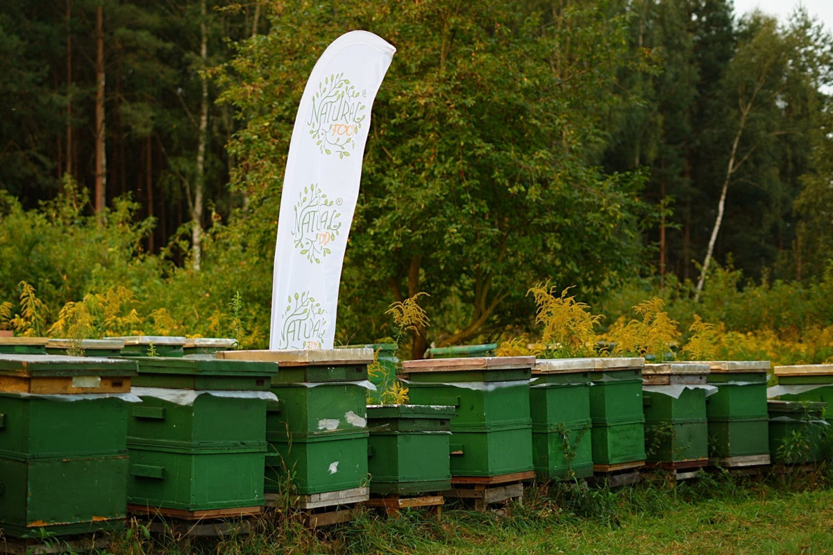 Bienenstöcke mit Natural-Food-Fahne am Waldrand